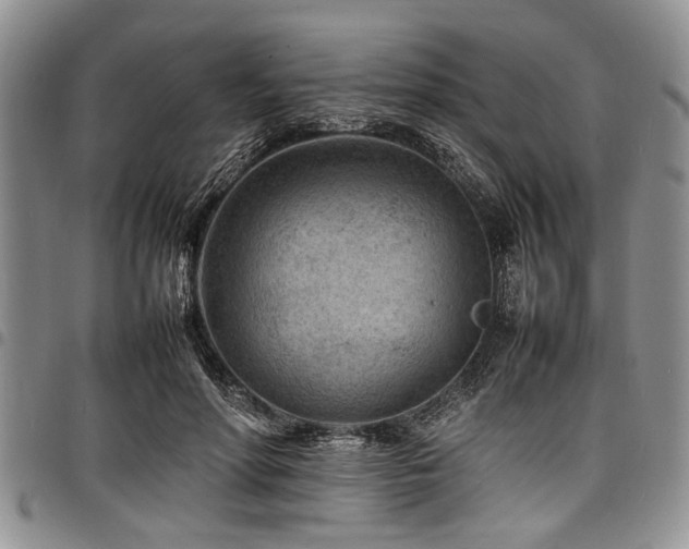 X0000098160598200804171601