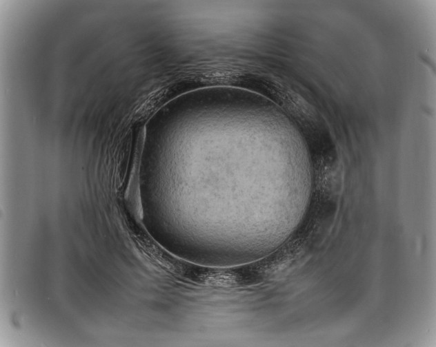 X0000098160599200804171601
