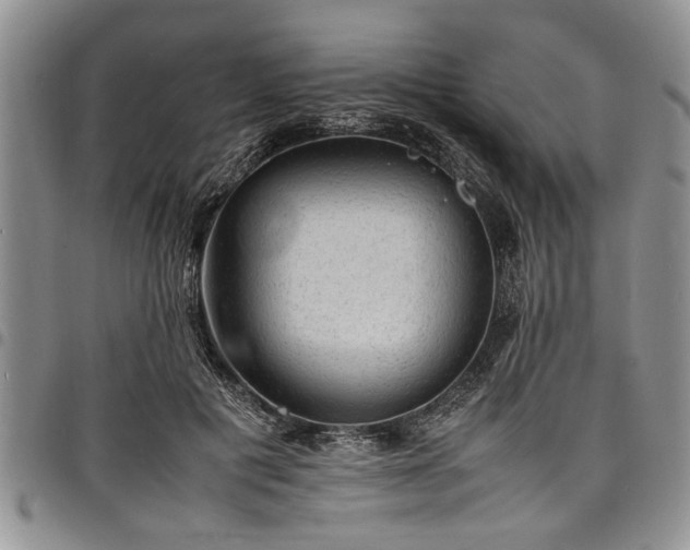 X0000098160601200804171601
