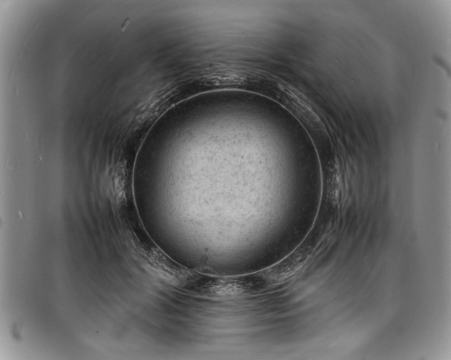 X0000098160604200804171601