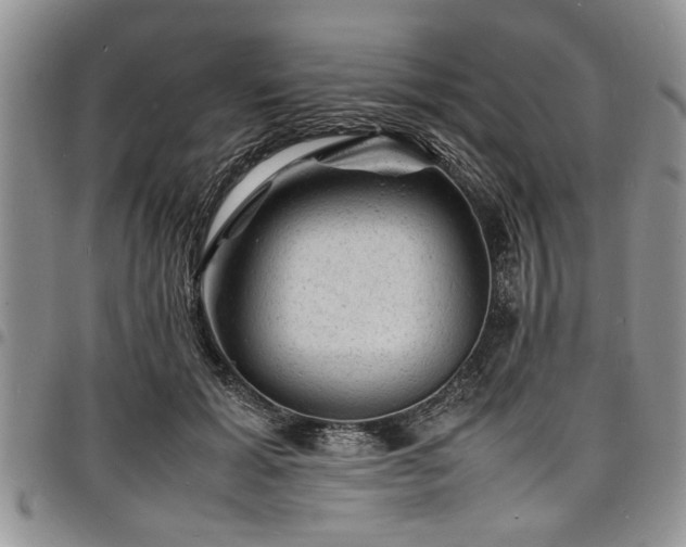 X0000098160605200804171601