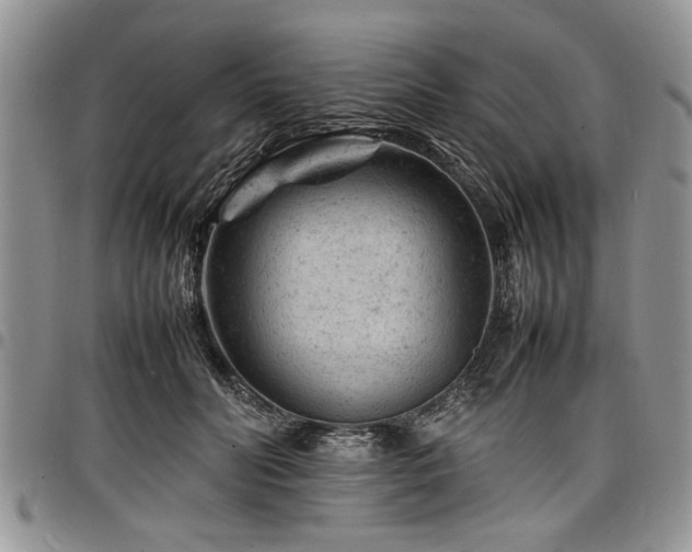 X0000098160606200804171601