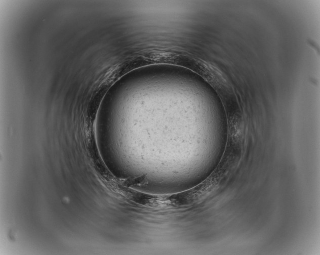X0000098160607200804171601