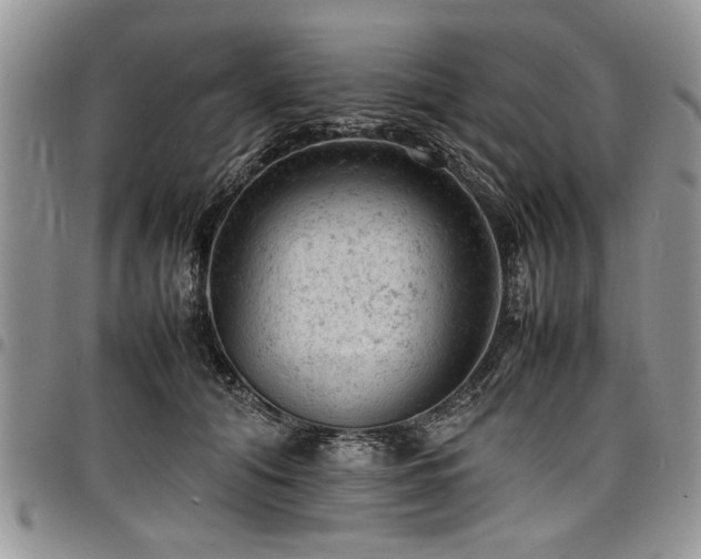X0000098160608200804171601