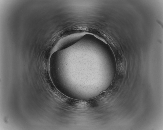 X0000098160609200804171601