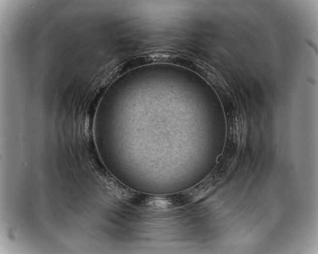 X0000098160610200804171601