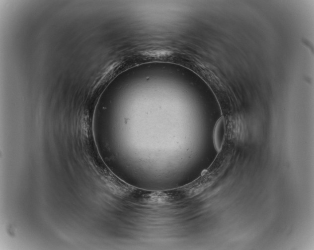 X0000098160612200804171601