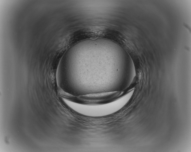 X0000098160613200804171601