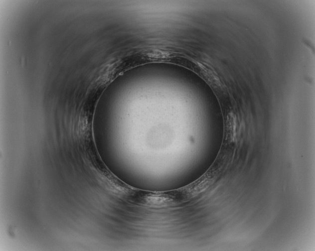 X0000098160614200804171601