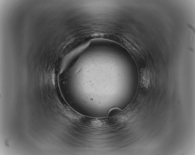 X0000098160616200804171601