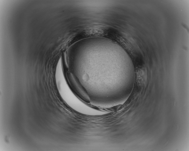 X0000098160617200804171601