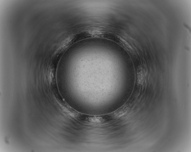 X0000098160618200804171601