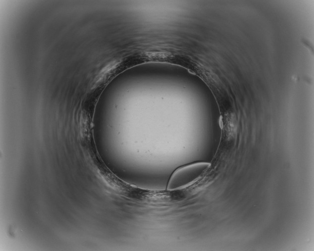 X0000098160619200804171601