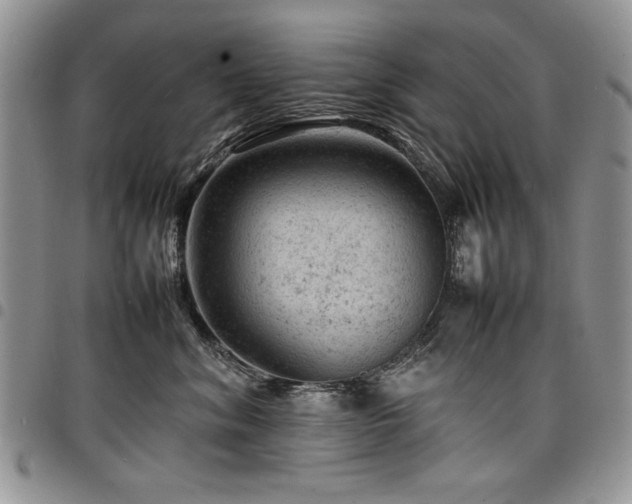 X0000098160620200804171601