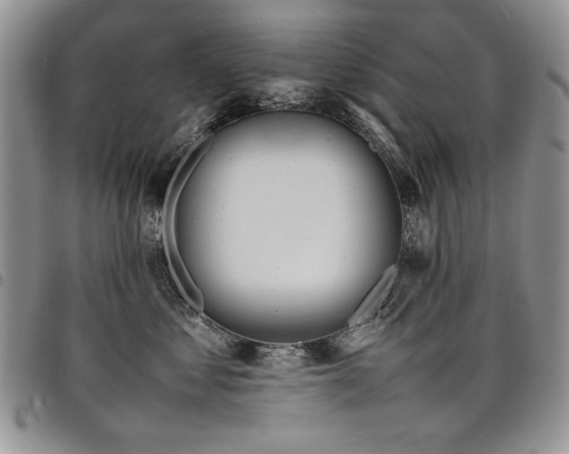 X0000098160621200804171601