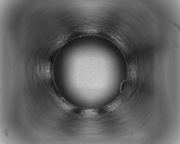 X0000098160622200804171601