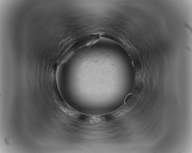 X0000098160623200804171601