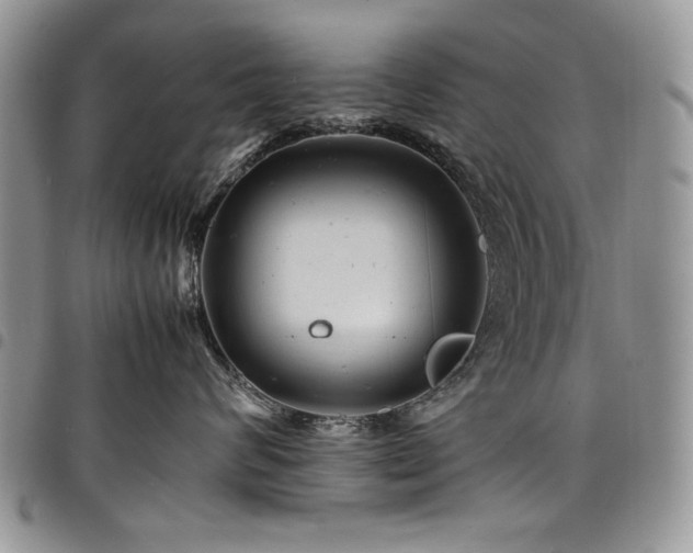 X0000098160624200804171601