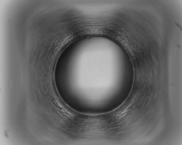 X0000098160625200804171600