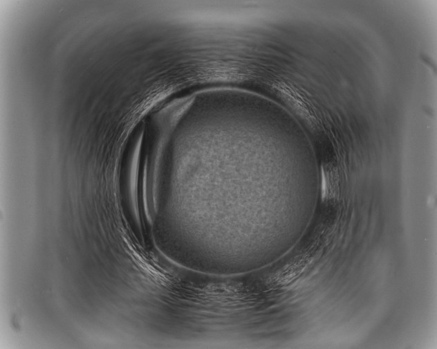X0000098160627200804171600