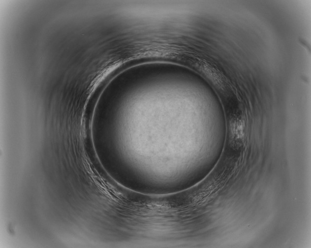 X0000098160628200804171600