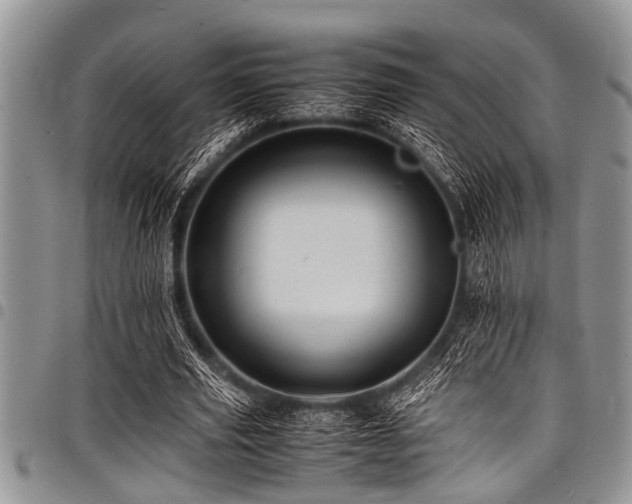 X0000098160629200804171600