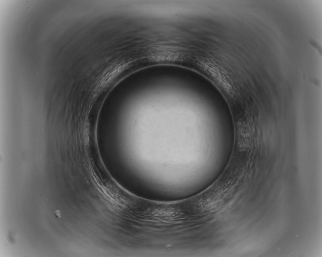 X0000098160631200804171600