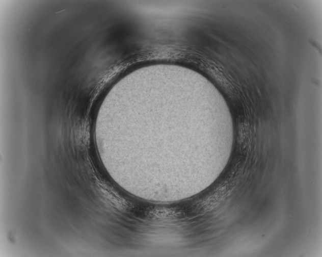 X0000098160632200804171600