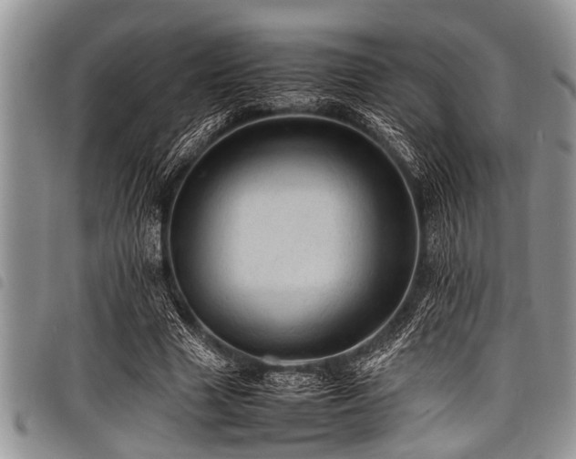 X0000098160633200804171600