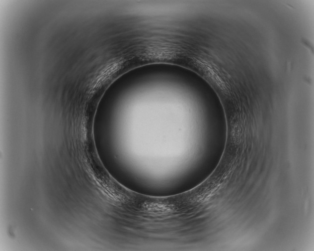 X0000098160635200804171600