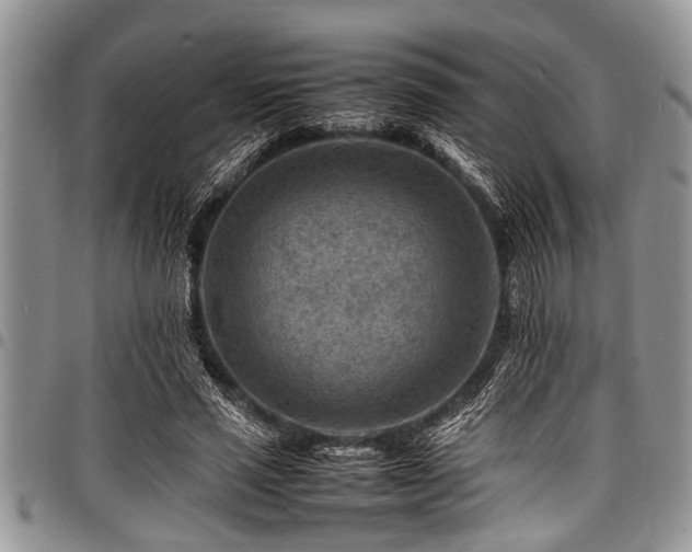 X0000098160637200804171600