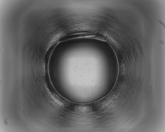X0000098160638200804171600
