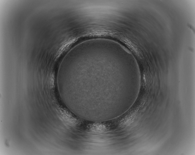 X0000098160640200804171600