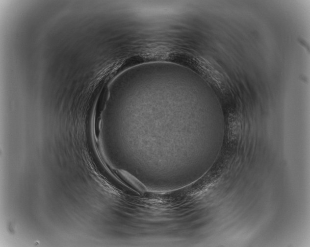 X0000098160641200804171600