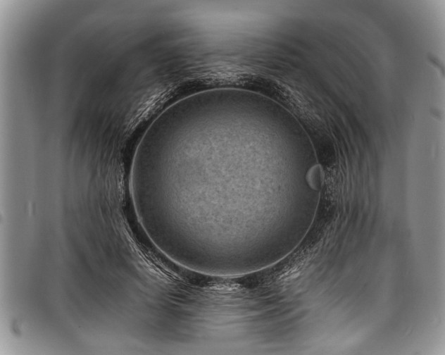 X0000098160642200804171600