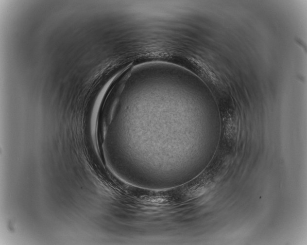 X0000098160643200804171600