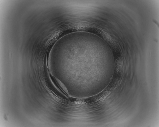 X0000098160644200804171600