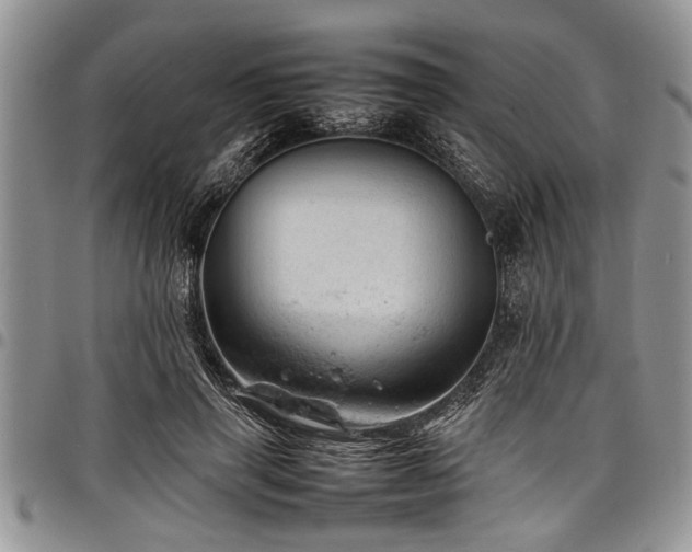 X0000098160645200804171600