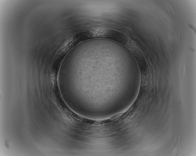 X0000098160648200804171600