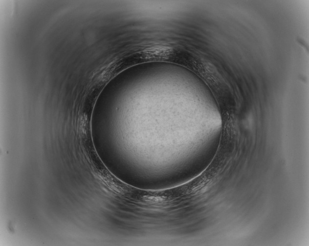 X0000098160649200804171600