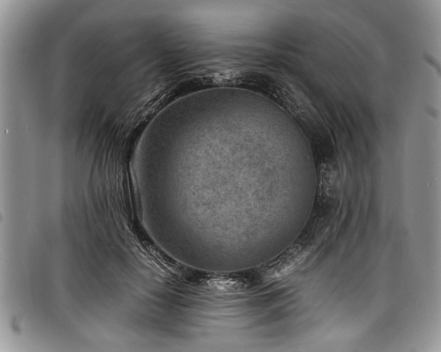 X0000098160650200804171600