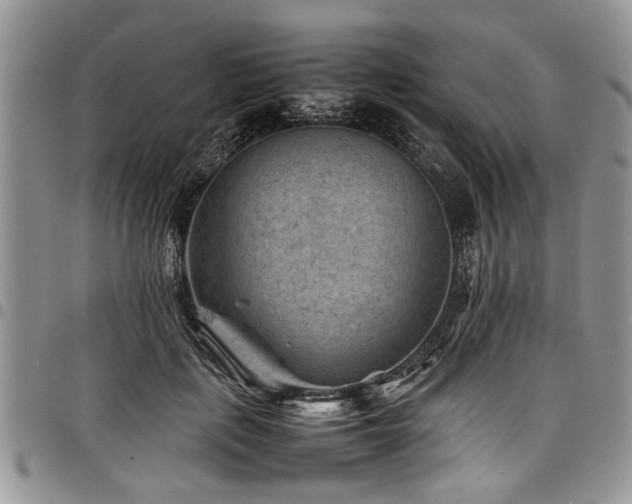 X0000098160651200804171600
