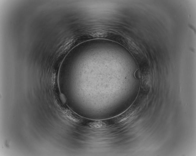 X0000098160652200804171600