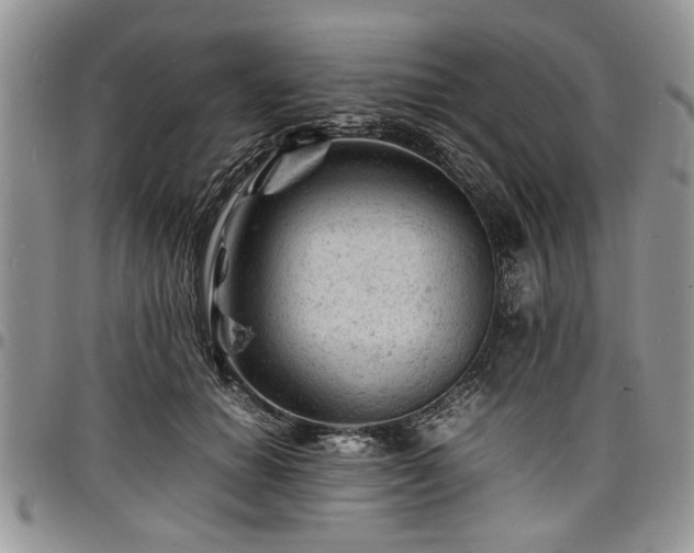 X0000098160654200804171601