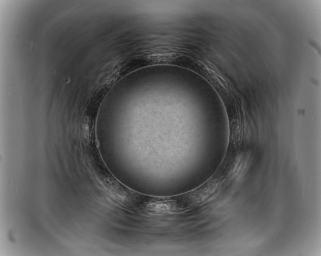 X0000098160655200804171601