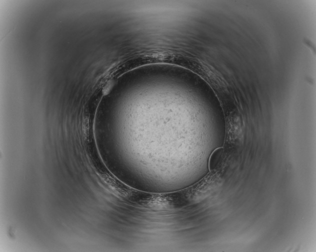 X0000098160656200804171601