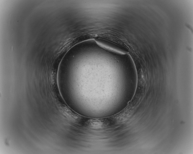 X0000098160658200804171601