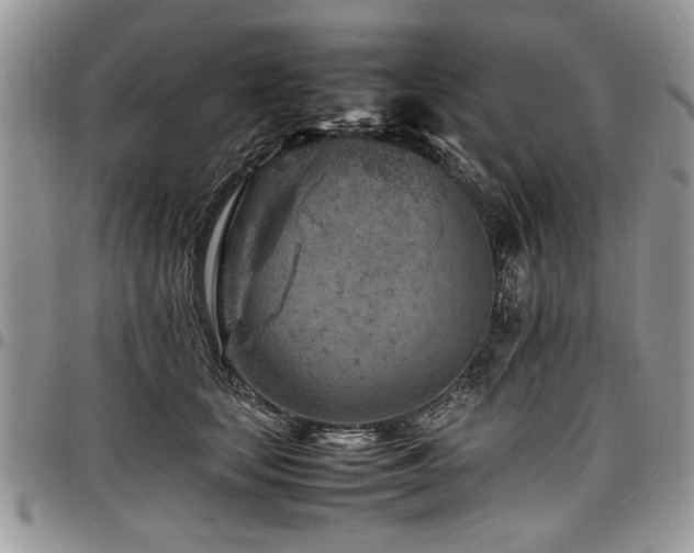X0000098160659200804171601