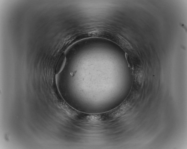 X0000098160660200804171601