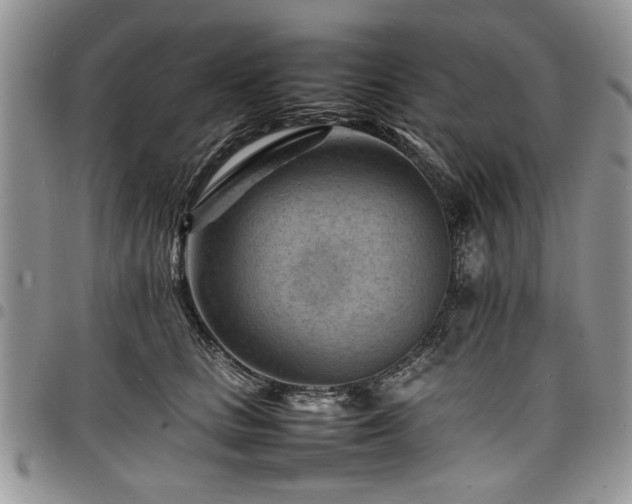 X0000098160661200804171601